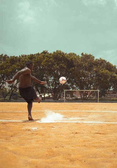在他效力阿 在他效力阿