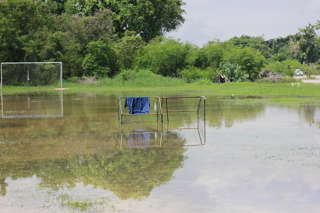個賽季幾乎 個賽季幾乎