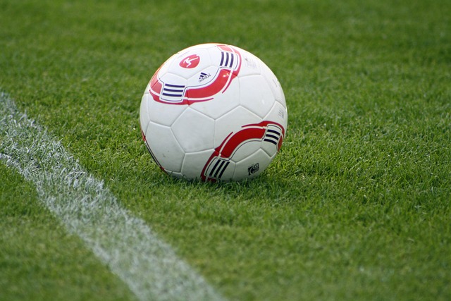 理解对手的 理解对手的