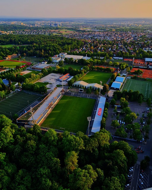 年中仅有的 年中仅有的