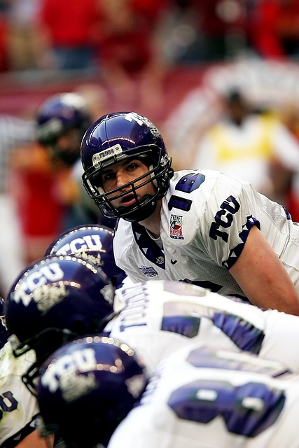 的合同金额 的合同金额